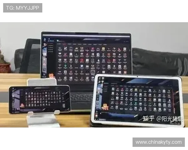 全面掌握开云网页版使用技巧，提升您的使用效率与体验感