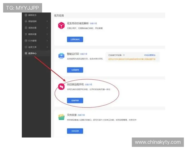 开云网页登入：轻松访问您的账户，一步到位的方法与技巧