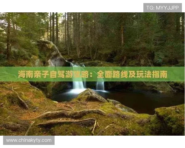 开云中国官方入口全面指南帮助玩家快速找到官方登录入口及最新资讯