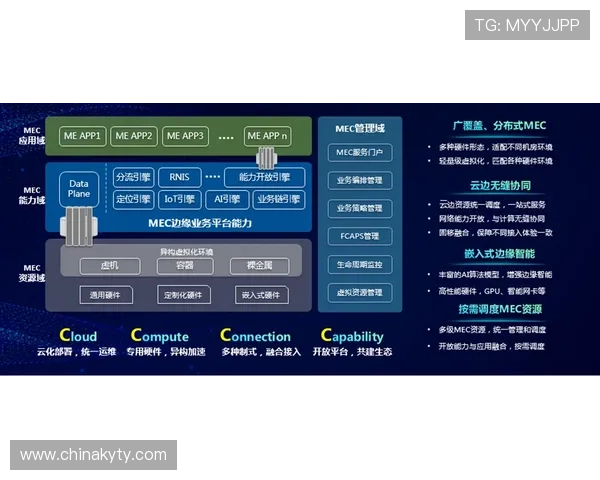 探索开云体育域名在国际化过程中的应用模式